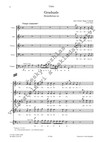 Jan Hugo Voříšek: Graduale Benedictus es (party) - galerie 2