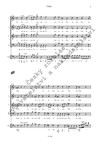 Jan Hugo Voříšek: Graduale Benedictus es (party) - galerie 3