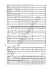 Koncert pro harfu a orchestr - galerie 2