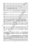 Koncert pro harfu a orchestr - galerie 3