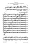 Jiří Teml: Concerto per clavicembalo ed orchestra da camera - galerie 2