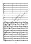 Jiří Teml: Concerto per clavicembalo ed orchestra da camera - galerie 3