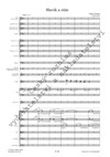 Julius Kalaš: Slavík a růže, symfonická báseň pro flétnu a orchestr - galerie 2