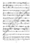 Lukáš Matoušek: Sonatina „Česká“ - galerie 3