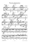 Jan Novák: Toccata chromatica - galerie 2