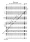 Robert Hejnar: Elysium pro klavír sólo a symfonický orchestr - galerie 2