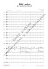 Hanuš Bartoň: Tříšť – scelení pro komorní orchestr - galerie 2