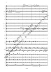 Emil Viklický: Klavírní koncert E dur - galerie 3