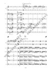 Jiří Teml: Concerto rustico per salterio ed archi - galerie 3