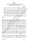 Olga Ježková: Oko, symfonická fantazie pro chlapecký hlas a orchestr - galerie 2
