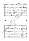 Zdeněk Šesták: Symfonie č. 4 pro smyčcový orchestr - galerie 3