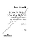 Jan Novák: Sonata tribus - galerie 1