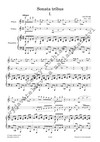 Jan Novák: Sonata tribus - galerie 2