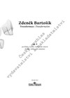 Zdeněk Bartošík: Transformace - galerie 1