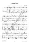 Václav Vodička: Sonáty pro housle (flétnu) a basso continuo op. 2 - galerie 2