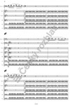 Leoš Janáček / Iša Krejčí (arr.): Symfonická fantasie z opery Její pastorkyňa Leoše Janáčka - galerie 3
