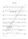 Jiří Gemrot: Sonatina pro flétnu a klavír - galerie 3