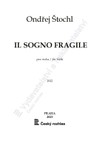 Ondřej Štochl: Il sogno fragile pro violu - galerie 1