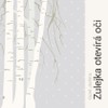 Guzel Jachina: Zulejka otevírá oči - galerie 1