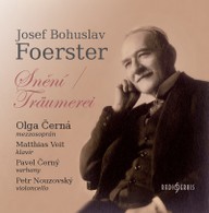 Hudba Snění / Träumerei - Písně