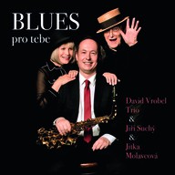 Hudba BLUES pro tebe