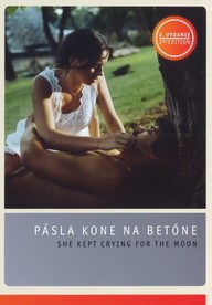 DVD Pásla kone na betóne