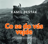 Mluvené slovo Kamil Pešťák: CO SE DO VÁS VEJDE aneb Když se kruh uzavřel III