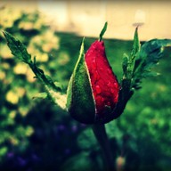 Hudba Otakar Ostrčil: Poupě, opera o jednom dějství, op. 12