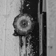 Mluvené slovo Alfréd Radok a Marie Tesařová: Stalo se v dešti