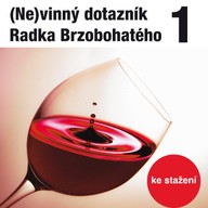 Mluvené slovo (Ne)vinný dotazník Radka Brzobohatého 1.