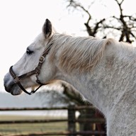 Mluvené slovo Černý jezdec, bílý kůň