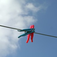 Mluvené slovo Vratislav Maňák: Co se skrývá pod břečťanem