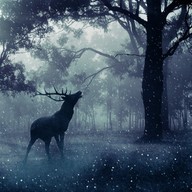 Mluvené slovo Karel Šiktanc: Nejčernější les