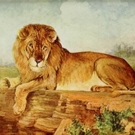 Mluvené slovo Dagmar Langová: O moudrém králi