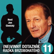 Mluvené slovo (Ne)vinný dotazník Radka Brzobohatého 11.