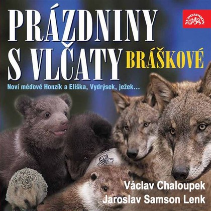 Mluvené slovo Písničky a příběhy zvířátek z večerníčků Bráškové. Prázdniny s vlčaty
