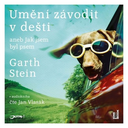 Mluvené slovo Umění závodit v dešti