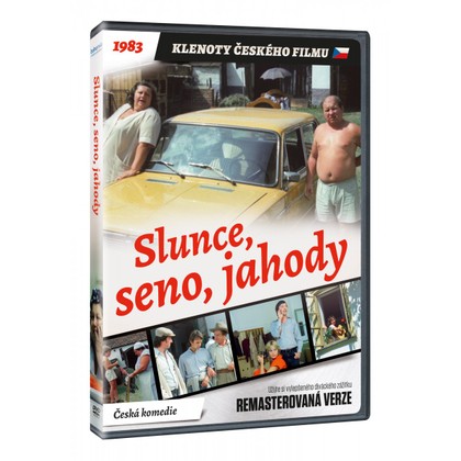 DVD Slunce, seno, jahody
