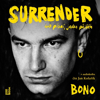 Mluvené slovo Bono: Surrender - 40 písní, jeden příběh