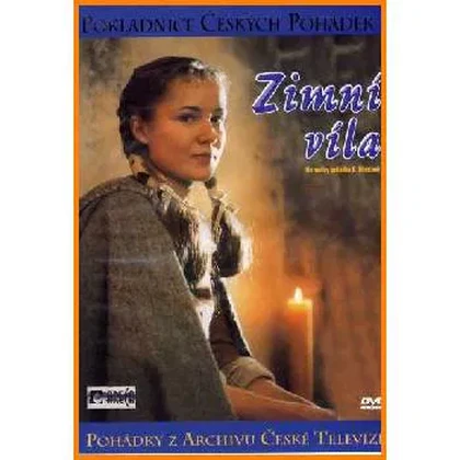DVD Zimní víla (DVD)