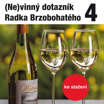Mluvené slovo (Ne)vinný dotazník Radka Brzobohatého 4.