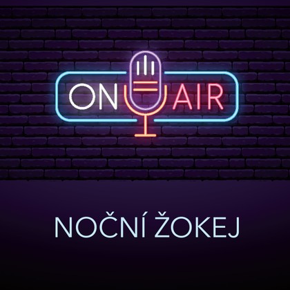 Mluvené slovo Antonín Přidal: Noční žokej