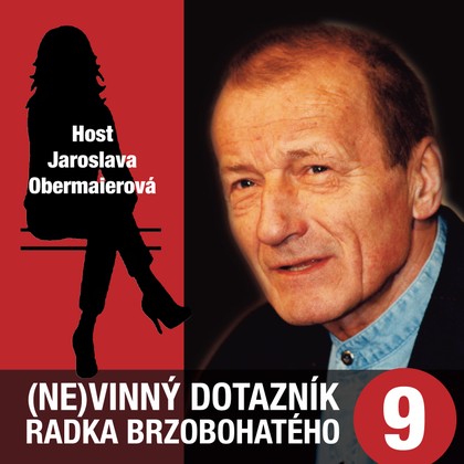 Mluvené slovo (Ne)vinný dotazník Radka Brzobohatého 9.