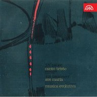 Hudba Pauer: Canto triste, Tausinger: Ave Maria, Musica evolutiva