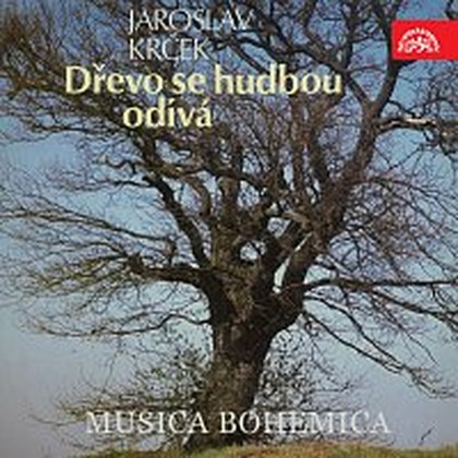 Hudba Krček: Dřevo se hudbou odívá