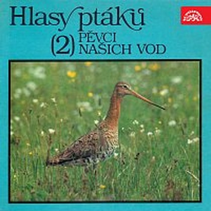 Hudba Hlasy ptáků (2) Pěvci našich vod
