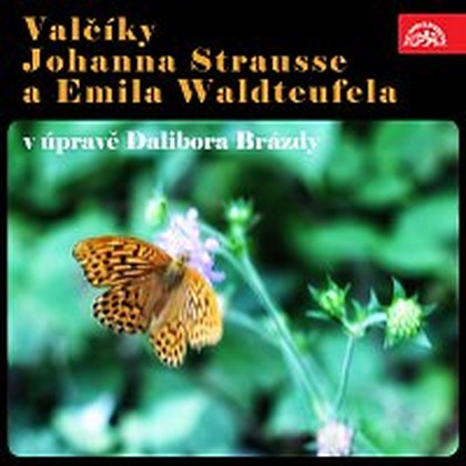 Hudba Valčíky Johanna Strausse a Emila Waldteufela v úpravě Dalibora Brázdy
