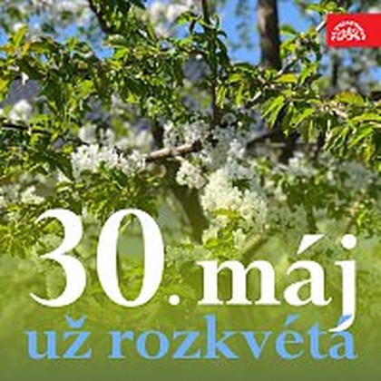 Hudba 30. máj už rozkvétá