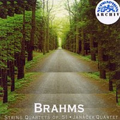 Hudba Brahms: Smyčcové kvartety