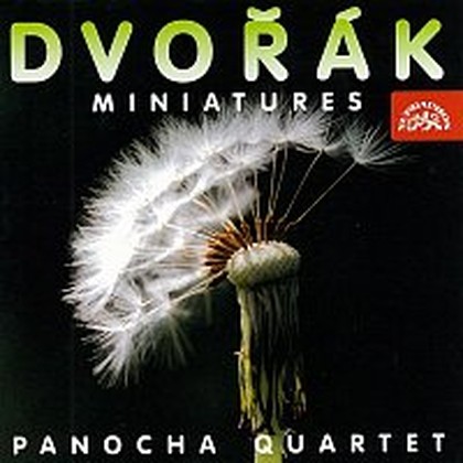 Hudba Dvořák: Maličkosti